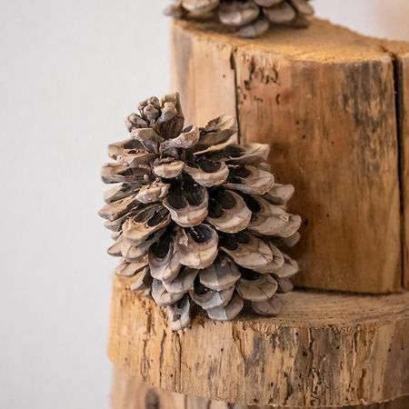 Corte Garibaldi 费尔特雷 外观 照片