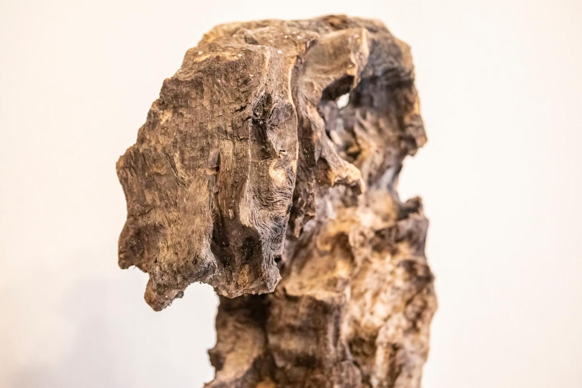Corte Garibaldi 费尔特雷 外观 照片